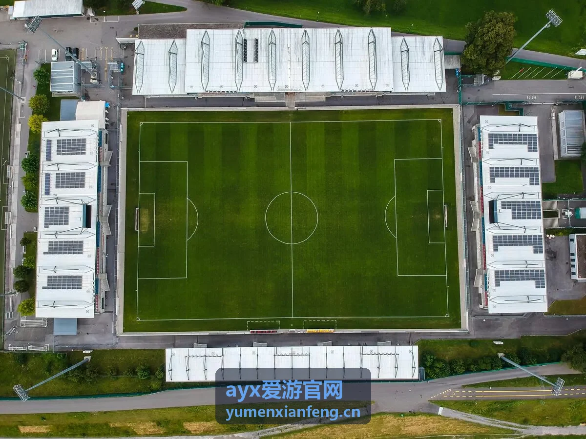 大漠日落 沙漠探险之旅 ayx爱游